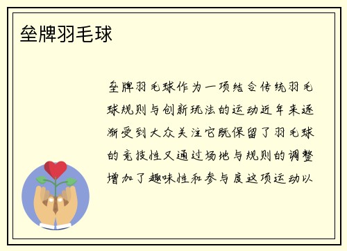 垒牌羽毛球